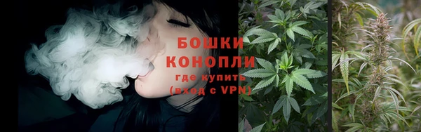 PSILOCYBIN Армянск