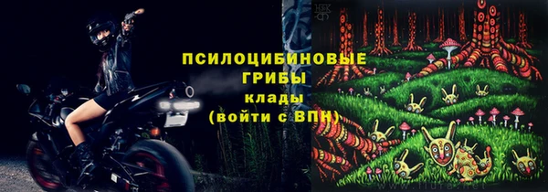 не бодяженный Аркадак
