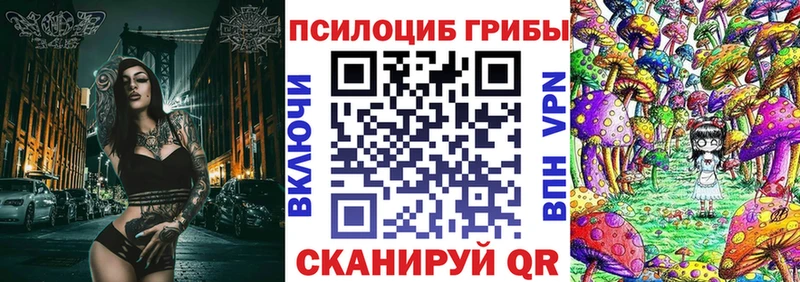 купить наркоту  Оса  shop формула  Галлюциногенные грибы GOLDEN TEACHER 